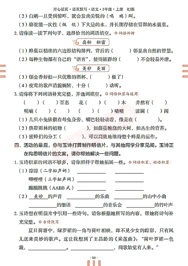 小学语文《开心活页默写》3年级上册（25秋）