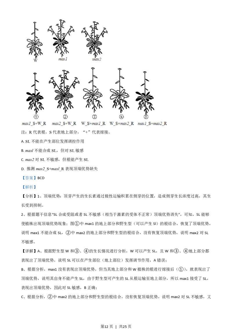 2021年高考生物试卷（湖南）（解析卷）_生物历年高考真题_新&middot;PDF版2008-2025&middot;高考生物真题_生物（按年份分类）2008-2025_2021&middot;高考生物真题