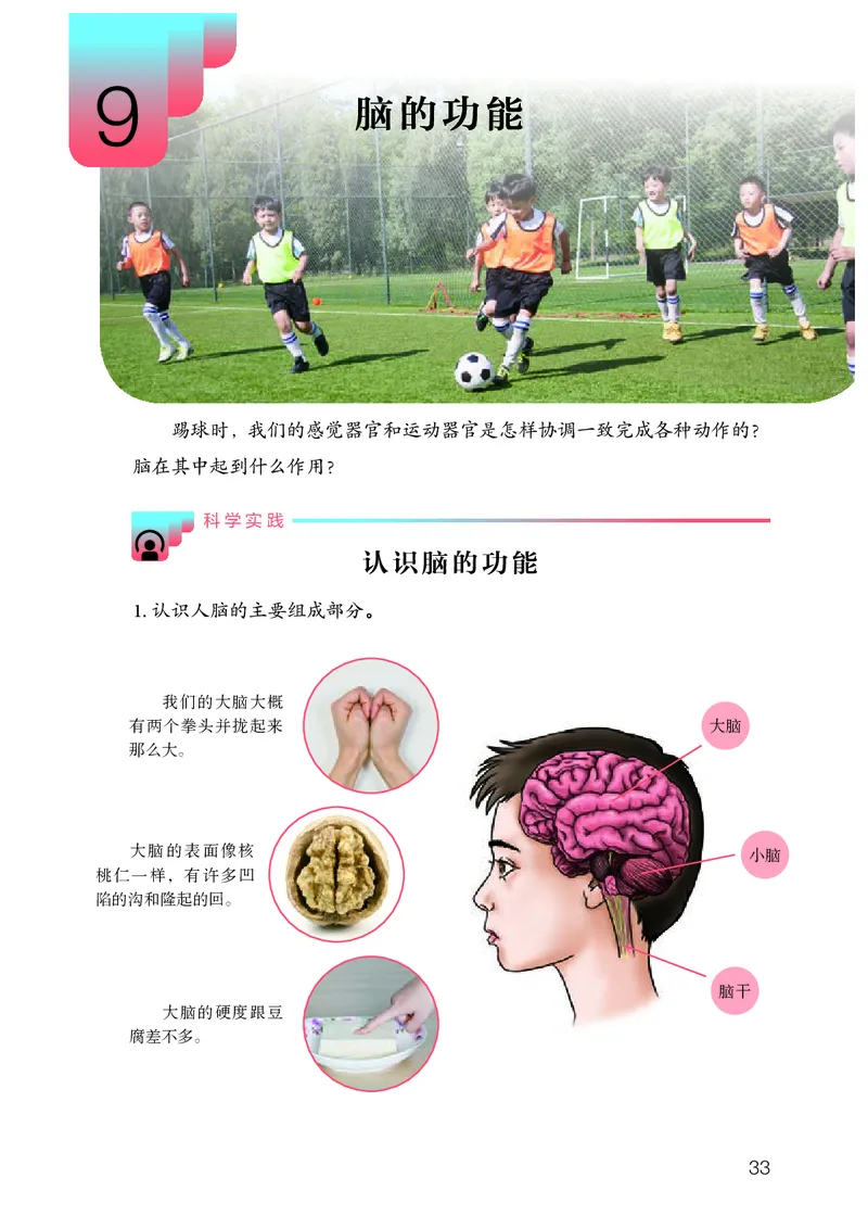 人教版5年级科学下册高清教材_全部版本&bull;小学科学电子课本_人教版小学科学电子课本