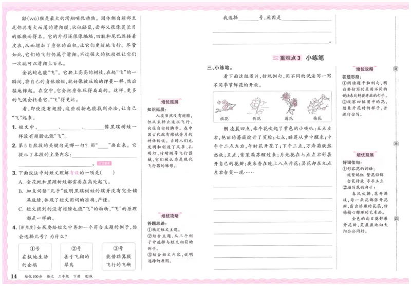 25春三下语文王朝霞培优100分_三年级上下册资料_53黄冈多个品牌系列资料_语文