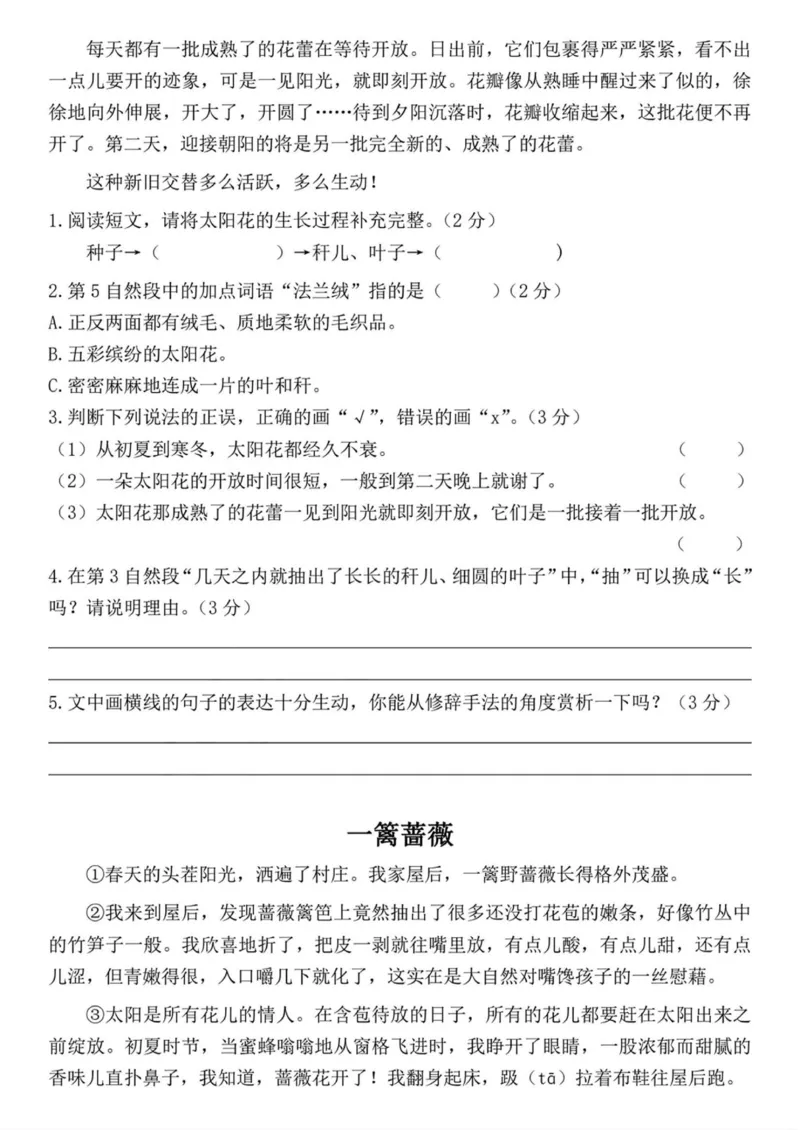 四上阅读理解考点与答题模板（含答案）_小学全网线上同款资料_41号文件夹4-6年级