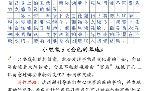 30055-三上语文课后小练笔（含范文14页）_一到六小学晨读晚默晨诵晚读_三年级上册各类资料(小纸条知识点默写单)