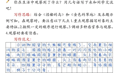 30055-三上语文课后小练笔（含范文14页）_一到六小学晨读晚默晨诵晚读_三年级上册各类资料(小纸条知识点默写单)