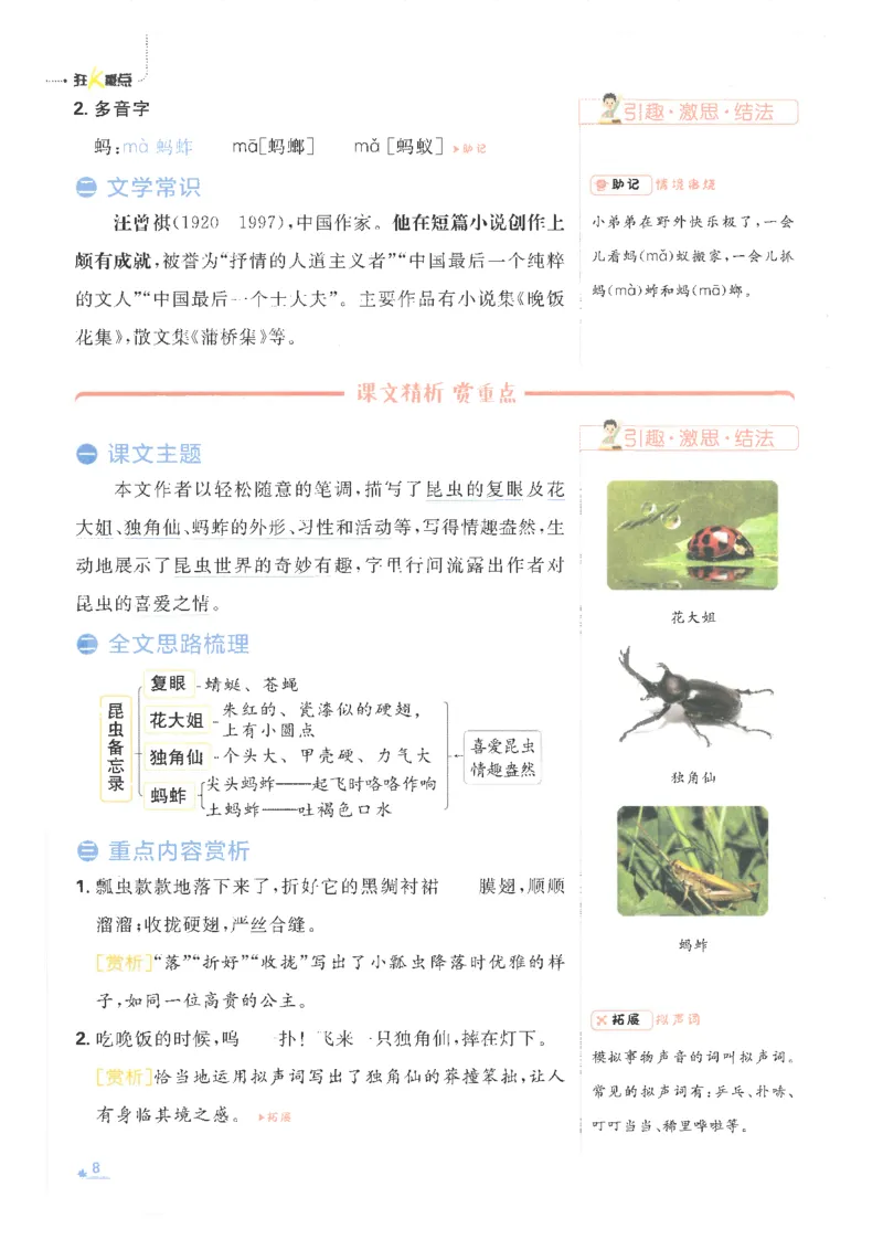 25小学必刷题语文三年级下RJ重点_三年级上下册资料_53黄冈多个品牌系列资料_语文