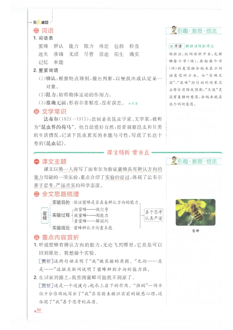 25小学必刷题语文三年级下RJ重点_三年级上下册资料_53黄冈多个品牌系列资料_语文