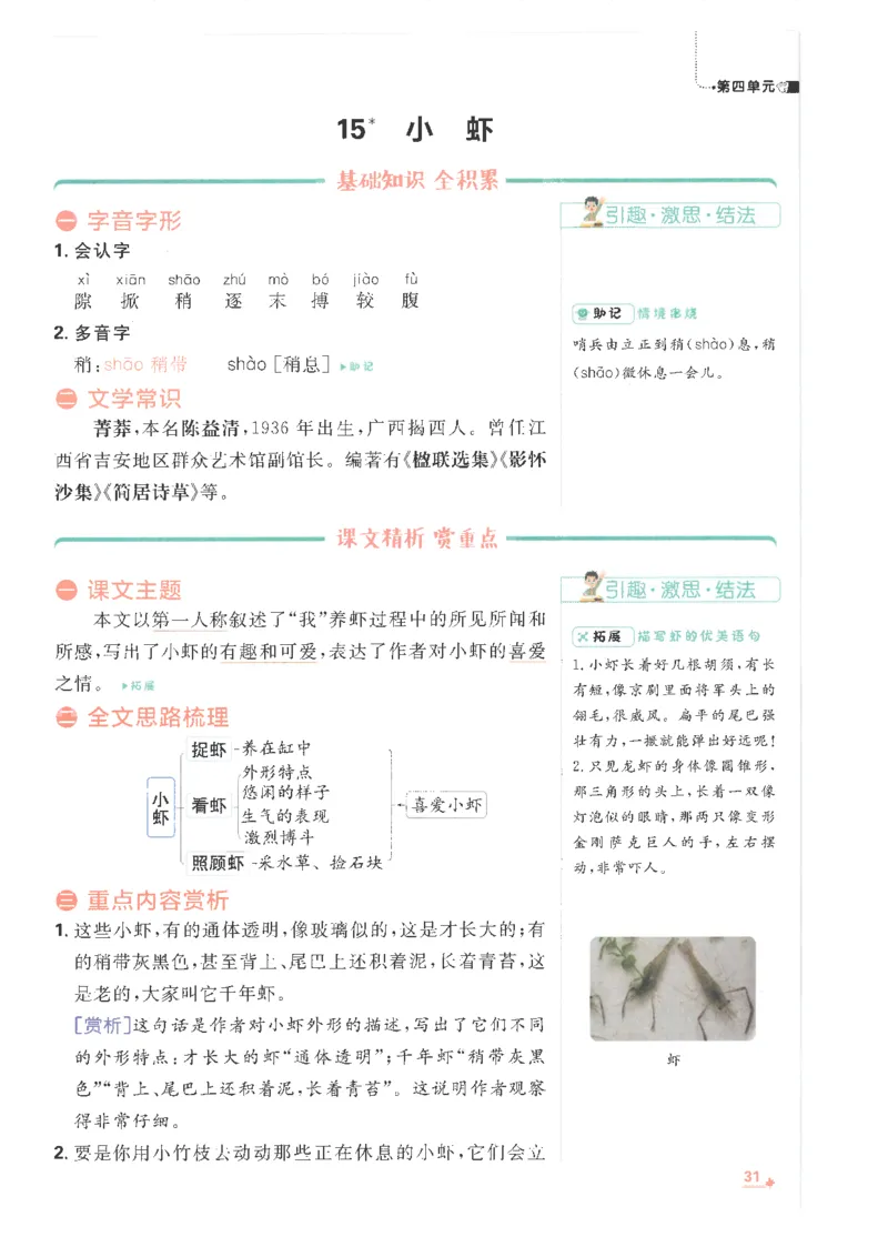 25小学必刷题语文三年级下RJ重点_三年级上下册资料_53黄冈多个品牌系列资料_语文