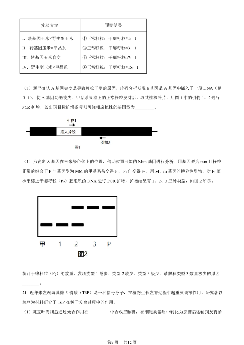 2021年高考生物试卷（北京）（空白卷）_生物历年高考真题_新&middot;PDF版2008-2025&middot;高考生物真题_生物（按年份分类）2008-2025_2021&middot;高考生物真题