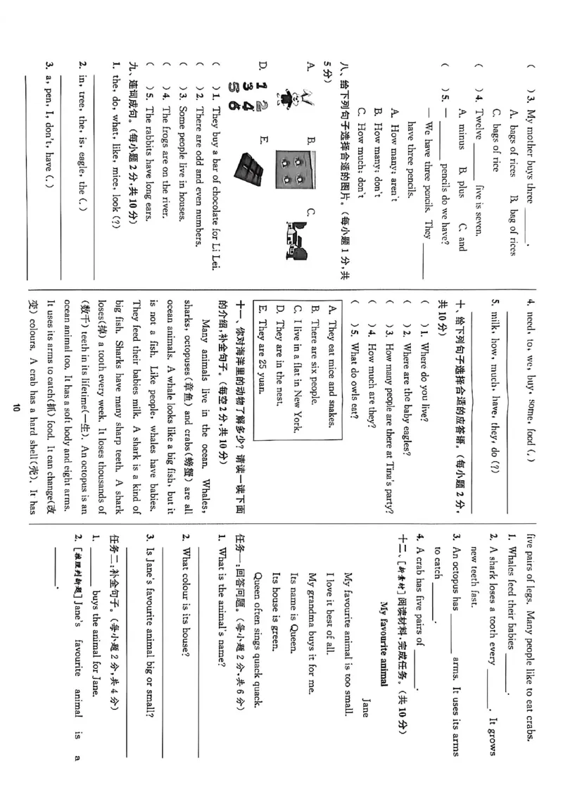 拔尖特训四上拔尖测评_25秋《拔尖特训》沪教版四上