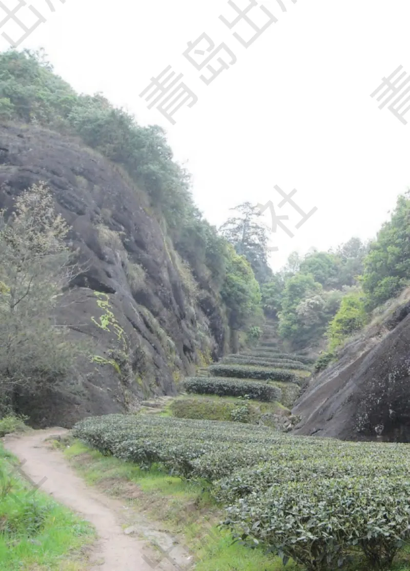 三年级下册科学青岛五四制电子课本_全部版本&bull;小学科学电子课本_青岛版54制小学科学课本