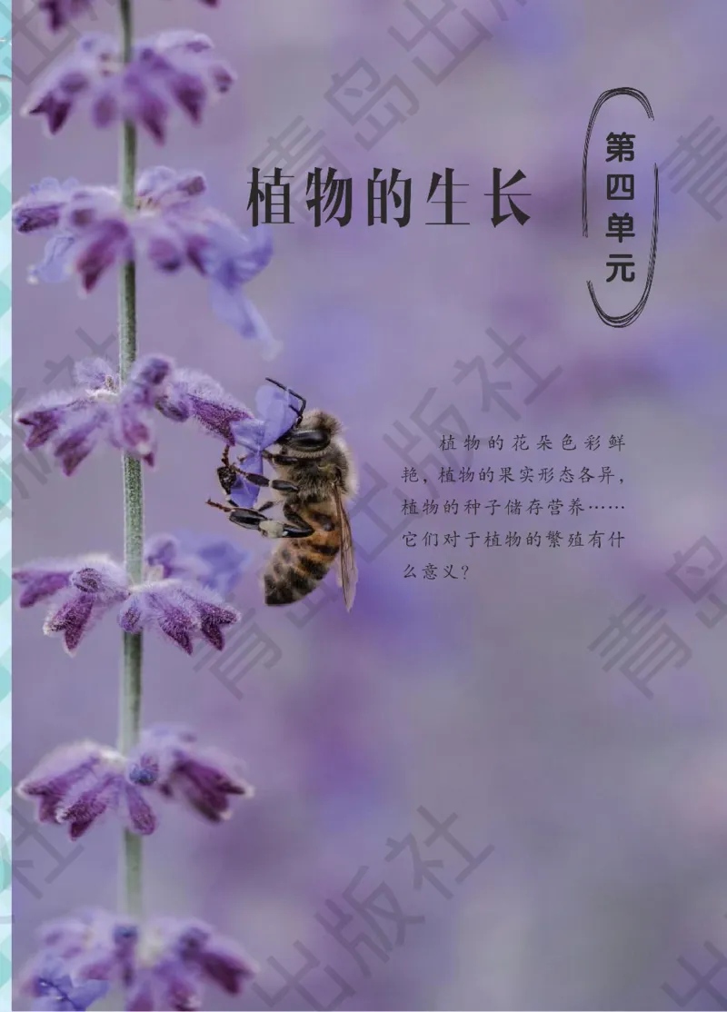 三年级下册科学青岛五四制电子课本_全部版本&bull;小学科学电子课本_青岛版54制小学科学课本