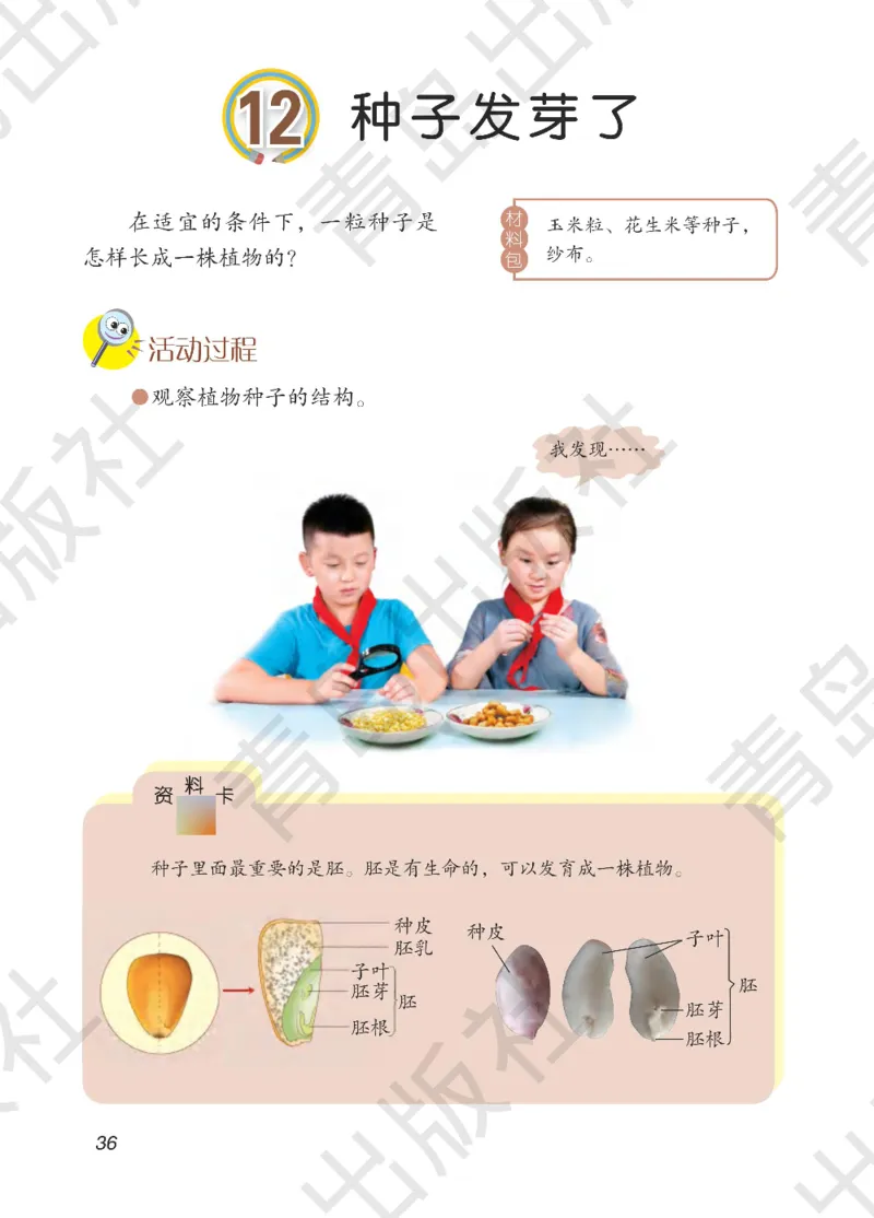 三年级下册科学青岛五四制电子课本_全部版本&bull;小学科学电子课本_青岛版54制小学科学课本