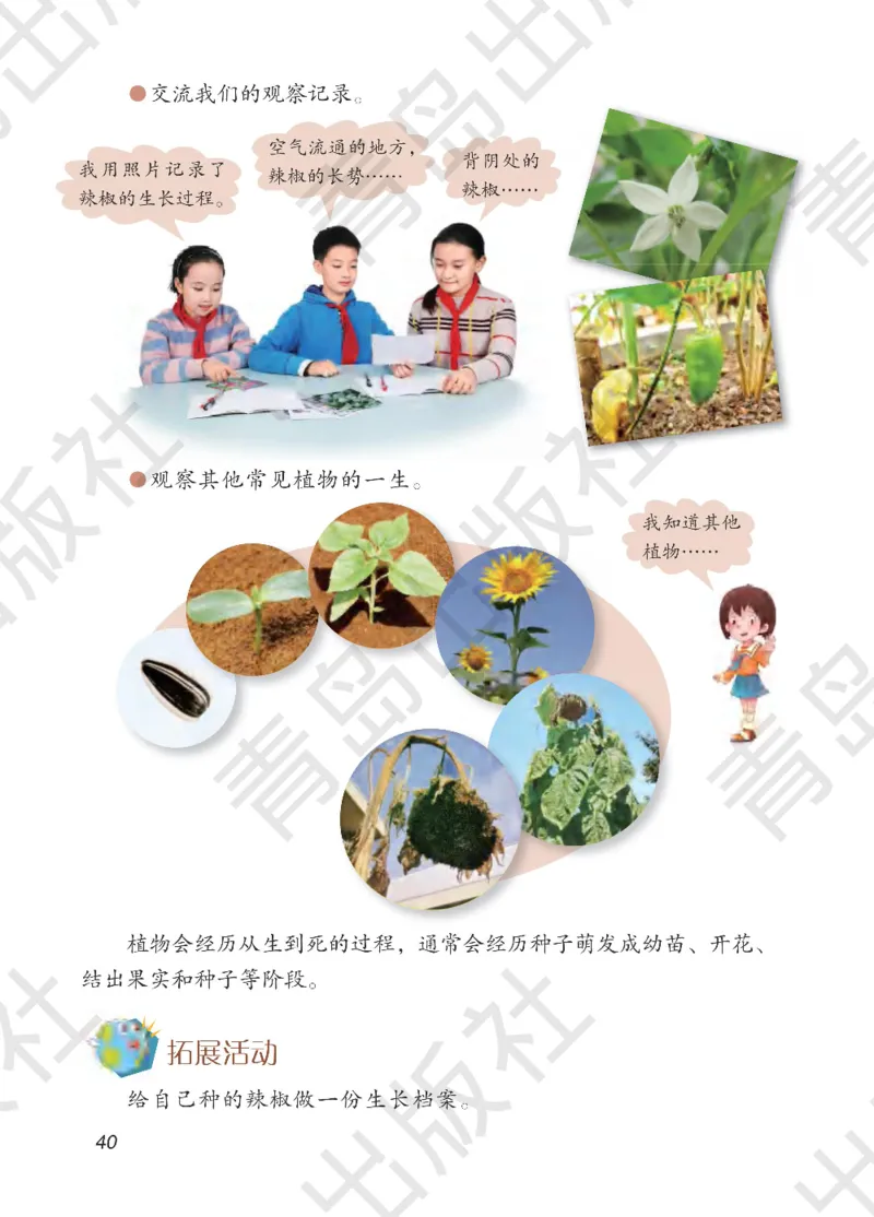 三年级下册科学青岛五四制电子课本_全部版本&bull;小学科学电子课本_青岛版54制小学科学课本