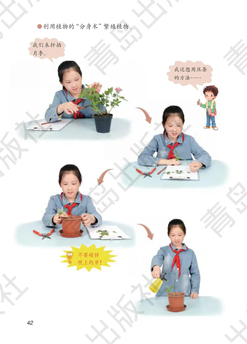 三年级下册科学青岛五四制电子课本_全部版本&bull;小学科学电子课本_青岛版54制小学科学课本