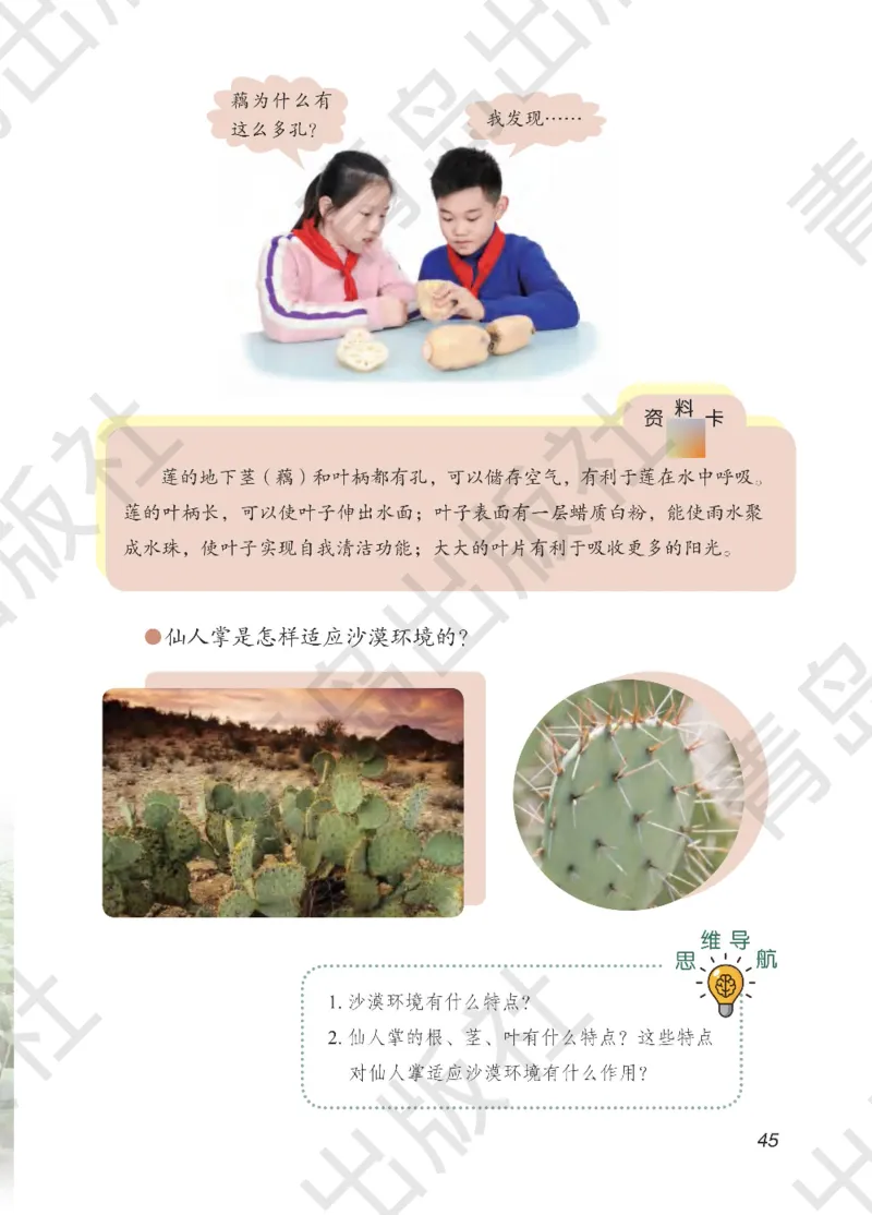 三年级下册科学青岛五四制电子课本_全部版本&bull;小学科学电子课本_青岛版54制小学科学课本