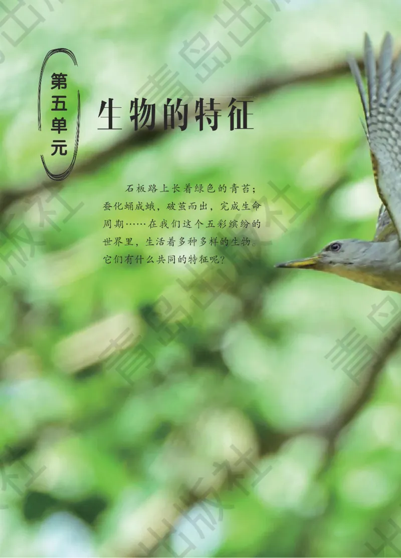 三年级下册科学青岛五四制电子课本_全部版本&bull;小学科学电子课本_青岛版54制小学科学课本