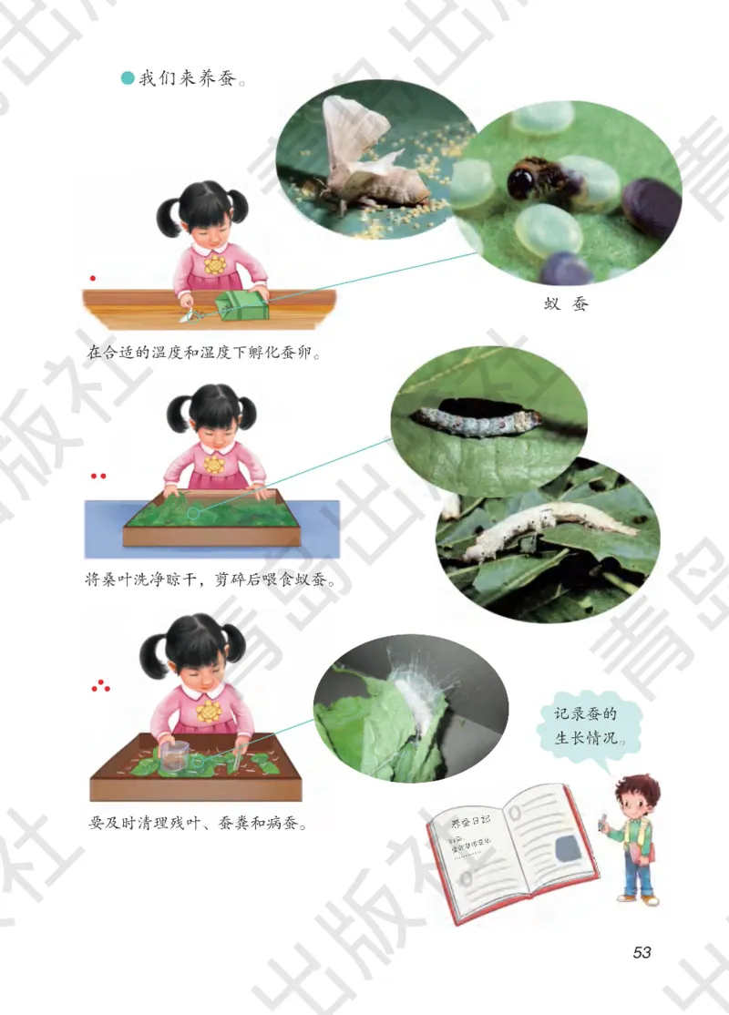 三年级下册科学青岛五四制电子课本_全部版本&bull;小学科学电子课本_青岛版54制小学科学课本