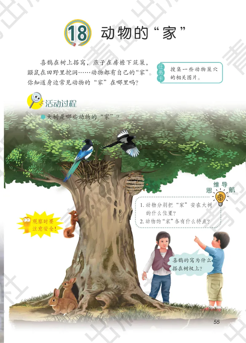 三年级下册科学青岛五四制电子课本_全部版本&bull;小学科学电子课本_青岛版54制小学科学课本