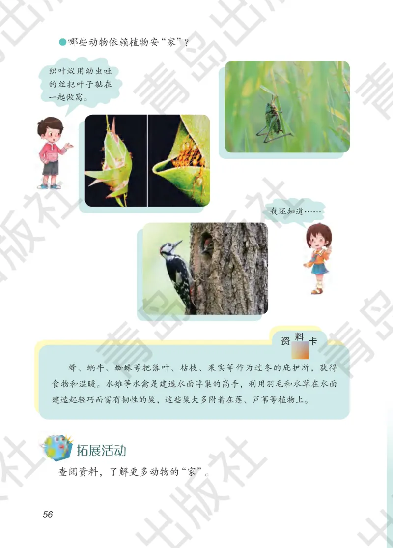 三年级下册科学青岛五四制电子课本_全部版本&bull;小学科学电子课本_青岛版54制小学科学课本