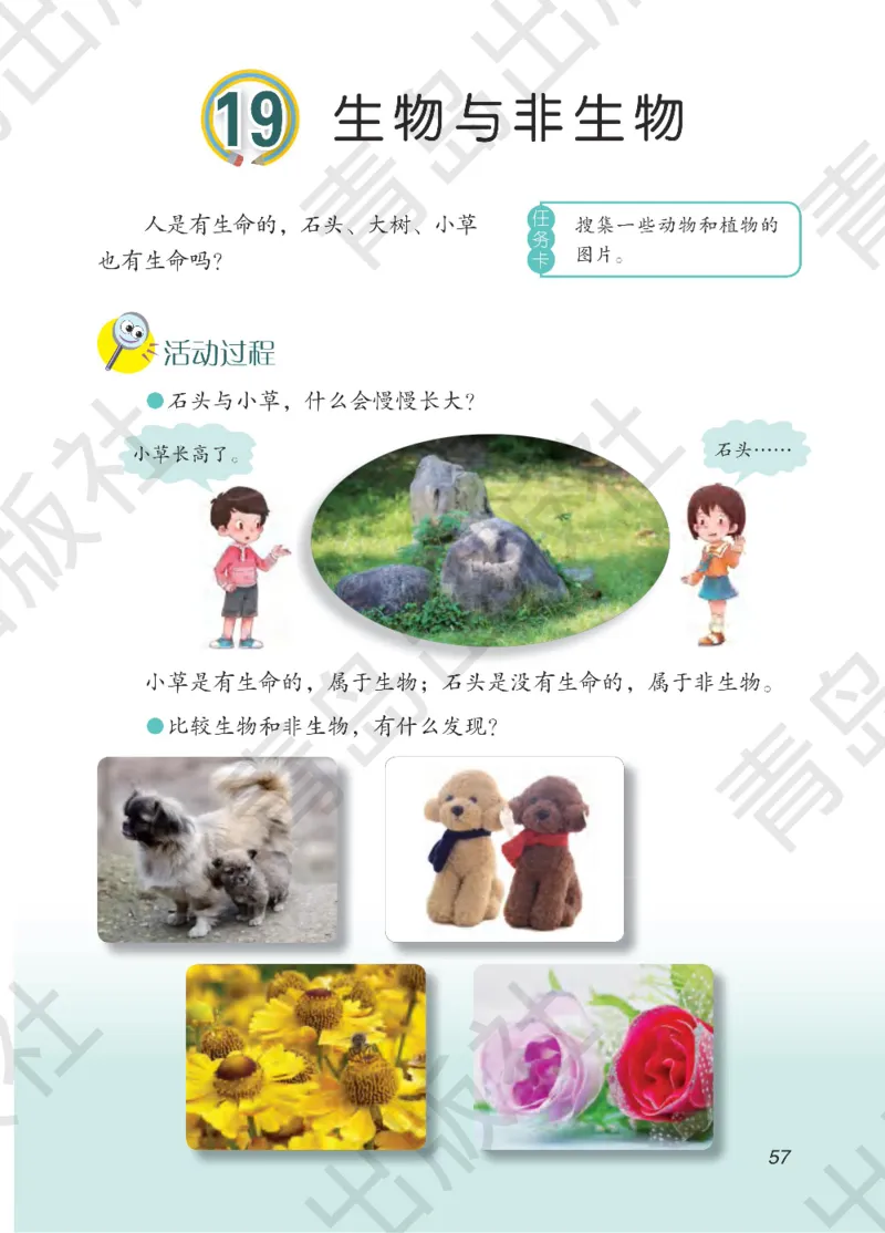 三年级下册科学青岛五四制电子课本_全部版本&bull;小学科学电子课本_青岛版54制小学科学课本