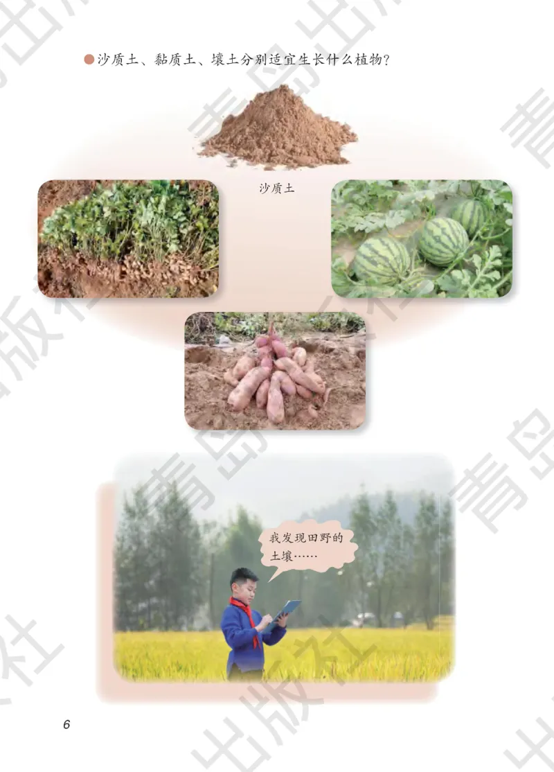 三年级下册科学青岛五四制电子课本_全部版本&bull;小学科学电子课本_青岛版54制小学科学课本