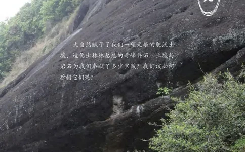 三年级下册科学青岛五四制电子课本_全部版本&bull;小学科学电子课本_青岛版54制小学科学课本