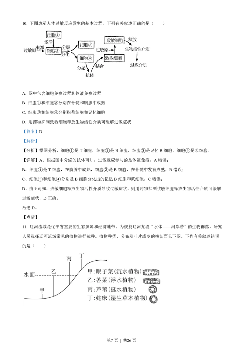 2021年高考生物试卷（辽宁）（解析卷）_生物历年高考真题_新&middot;PDF版2008-2025&middot;高考生物真题_生物（按试卷类型分类）2008-2025_自主命题卷&middot;生物（2008-2025）_辽宁自主命题&middot;生物（2021-2024）