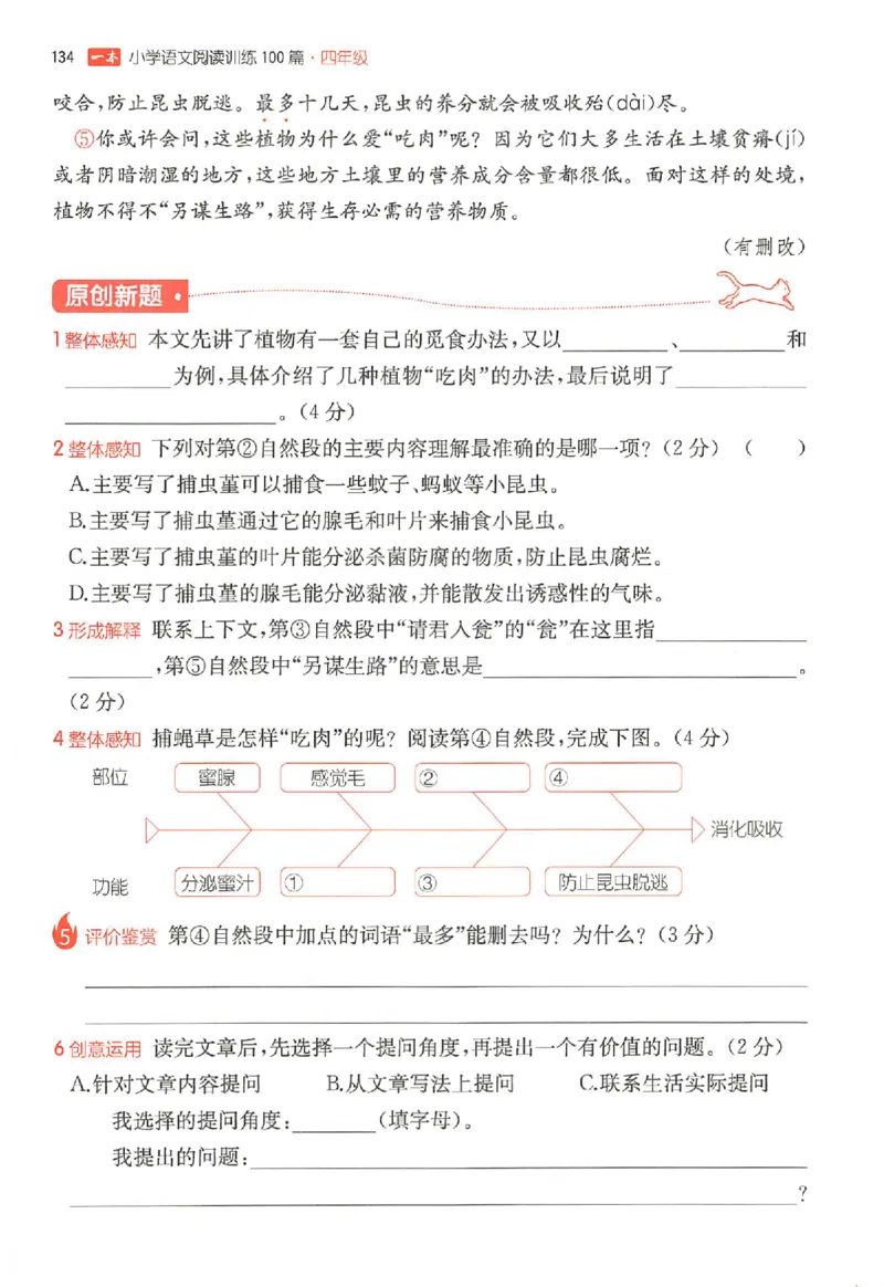 26版一本小语阅读四年级_25秋《一本小学语文阅读训练100篇第13版》1-6_一本小语阅读训练100篇4年级