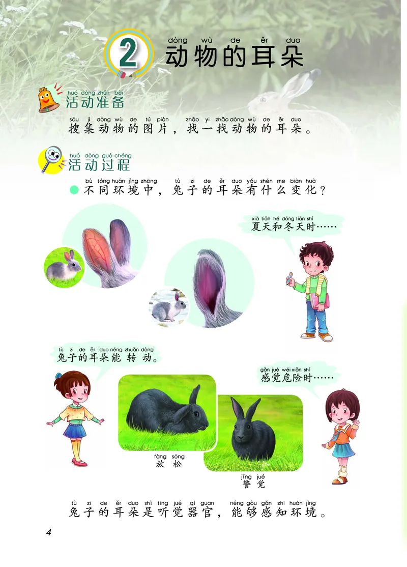 二年级上册科学青岛版五四制电子课本_全部版本&bull;小学科学电子课本_青岛版54制小学科学课本