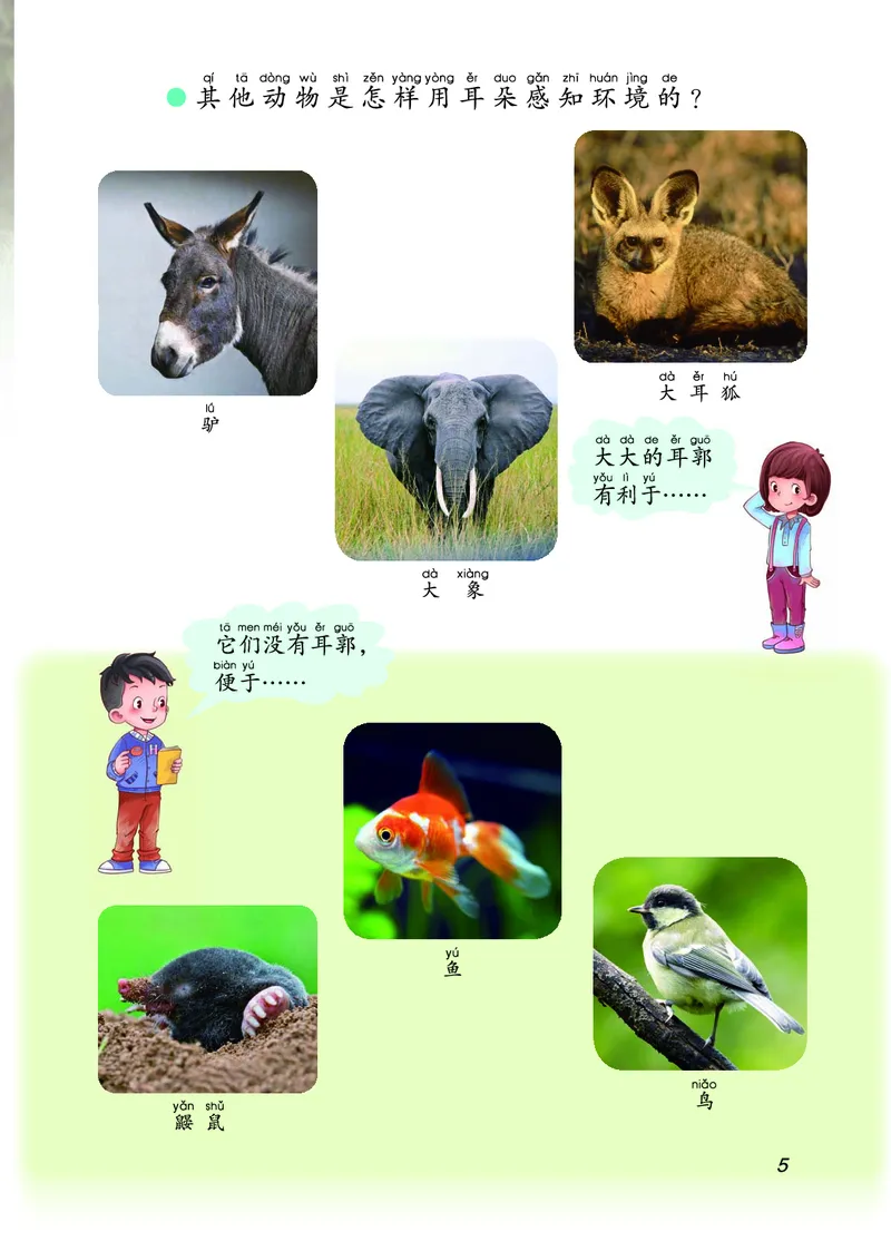 二年级上册科学青岛版五四制电子课本_全部版本&bull;小学科学电子课本_青岛版54制小学科学课本