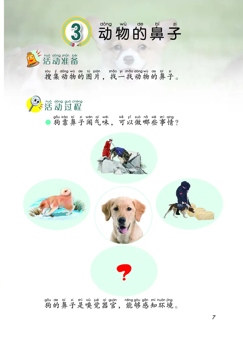 二年级上册科学青岛版五四制电子课本_全部版本&bull;小学科学电子课本_青岛版54制小学科学课本