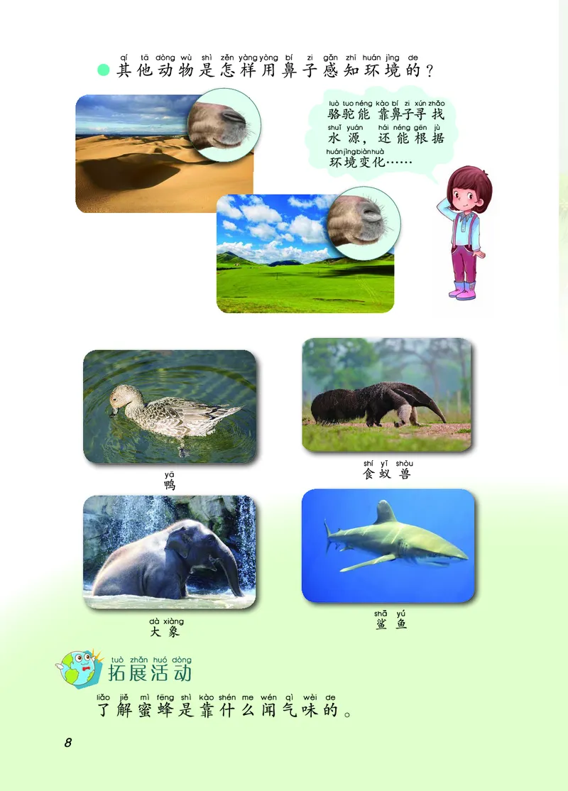 二年级上册科学青岛版五四制电子课本_全部版本&bull;小学科学电子课本_青岛版54制小学科学课本