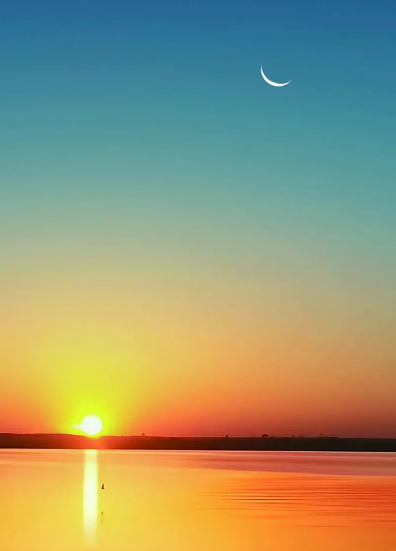 二年级上册科学青岛版五四制电子课本_全部版本&bull;小学科学电子课本_青岛版54制小学科学课本