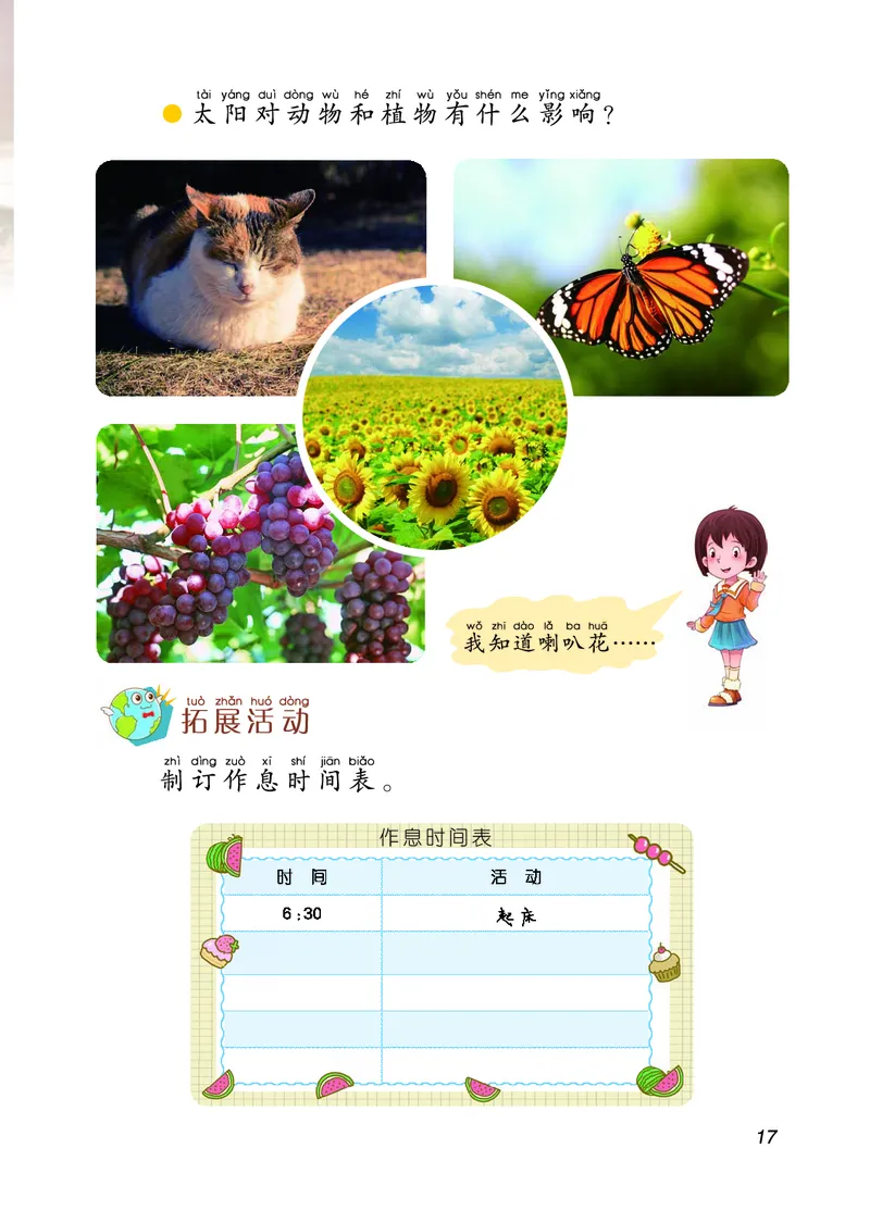 二年级上册科学青岛版五四制电子课本_全部版本&bull;小学科学电子课本_青岛版54制小学科学课本