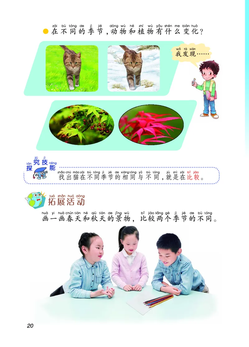 二年级上册科学青岛版五四制电子课本_全部版本&bull;小学科学电子课本_青岛版54制小学科学课本