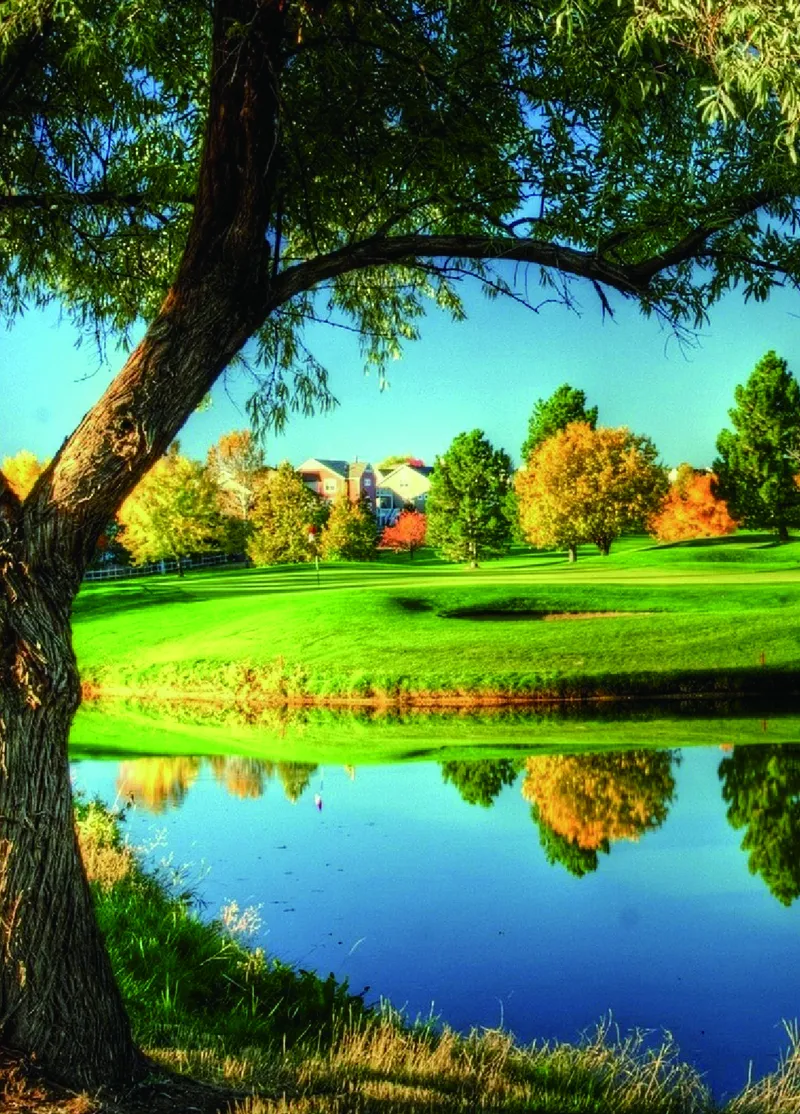 二年级上册科学青岛版五四制电子课本_全部版本&bull;小学科学电子课本_青岛版54制小学科学课本