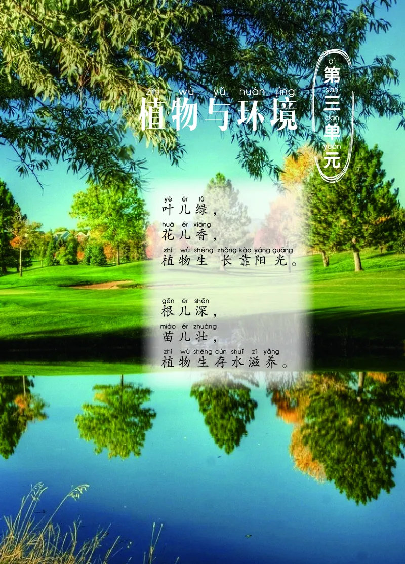 二年级上册科学青岛版五四制电子课本_全部版本&bull;小学科学电子课本_青岛版54制小学科学课本