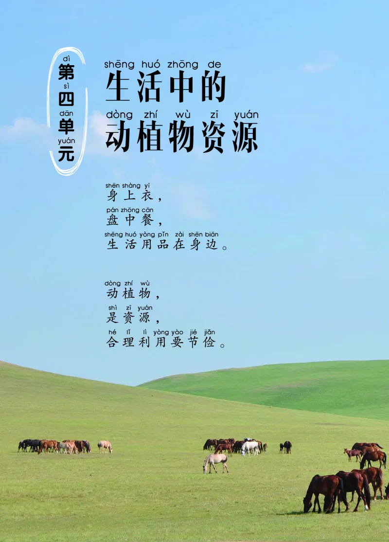 二年级上册科学青岛版五四制电子课本_全部版本&bull;小学科学电子课本_青岛版54制小学科学课本