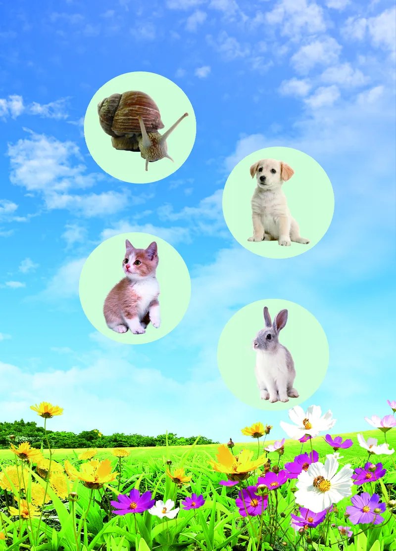 二年级上册科学青岛版五四制电子课本_全部版本&bull;小学科学电子课本_青岛版54制小学科学课本