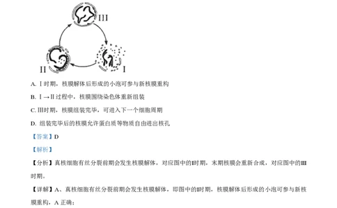 2021年高考生物试卷（海南）（解析卷）_生物历年高考真题_新&middot;PDF版2008-2025&middot;高考生物真题_生物（按试卷类型分类）2008-2025_自主命题卷&middot;生物（2008-2025）_海南自主命题&middot;生物（2008-2024）