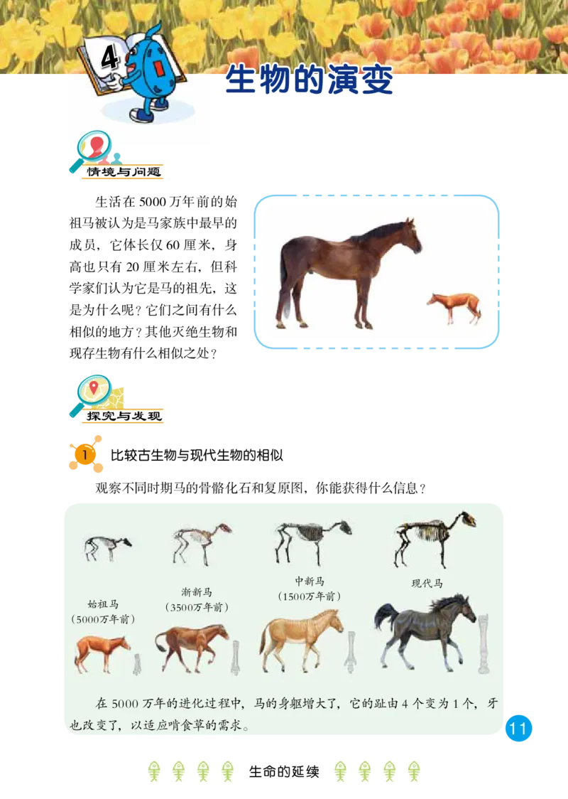 冀教版6年级科学上册高清教材_全部版本&bull;小学科学电子课本_冀教版小学科学电子课本