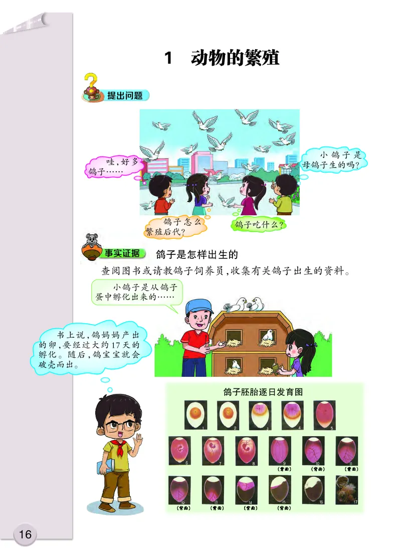 大象版3年级科学上册高清教材_全部版本&bull;小学科学电子课本_大象版小学科学电子课本