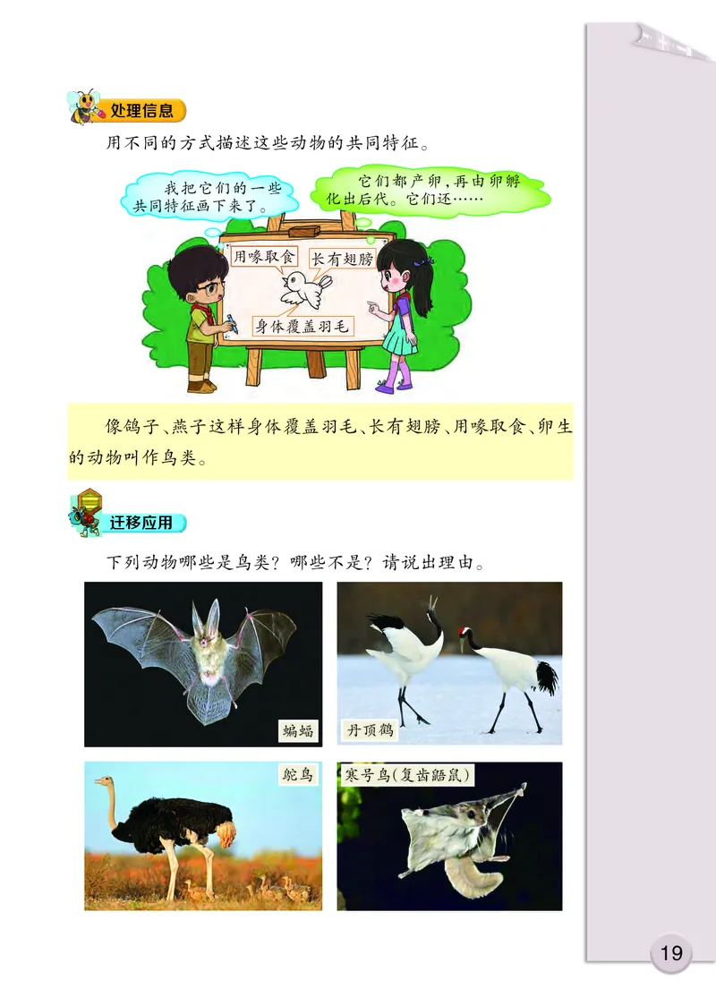 大象版3年级科学上册高清教材_全部版本&bull;小学科学电子课本_大象版小学科学电子课本