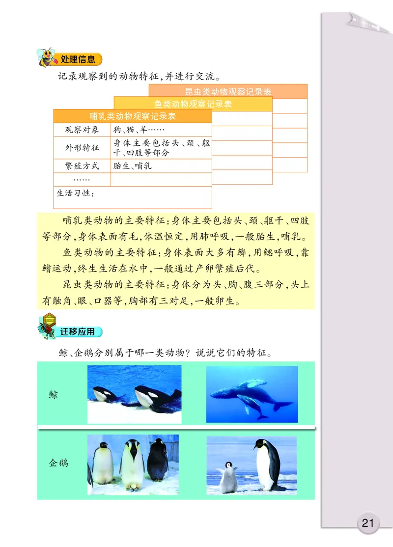 大象版3年级科学上册高清教材_全部版本&bull;小学科学电子课本_大象版小学科学电子课本