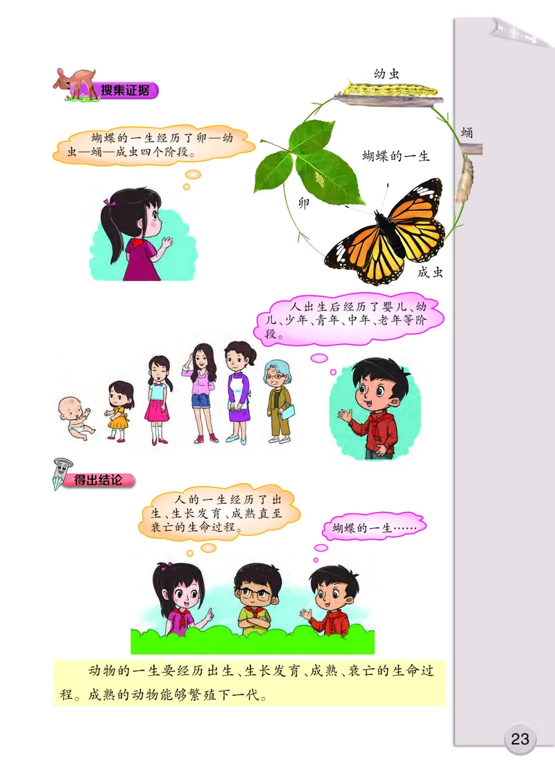 大象版3年级科学上册高清教材_全部版本&bull;小学科学电子课本_大象版小学科学电子课本