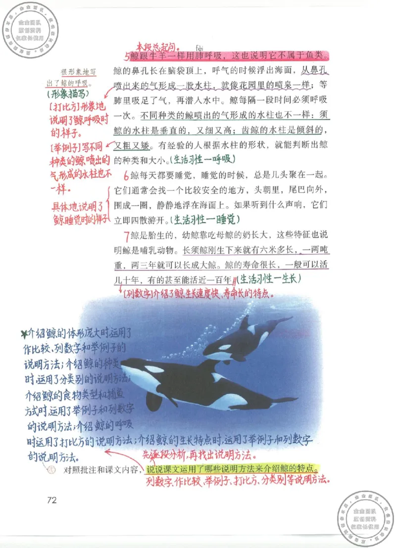 五年级语文上册课堂笔记(1)_小学全网线上同款资料_14号文件4上5上语文数学课堂笔记