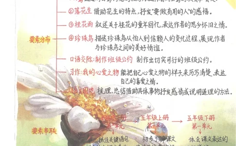 五年级语文上册课堂笔记(1)_小学全网线上同款资料_14号文件4上5上语文数学课堂笔记