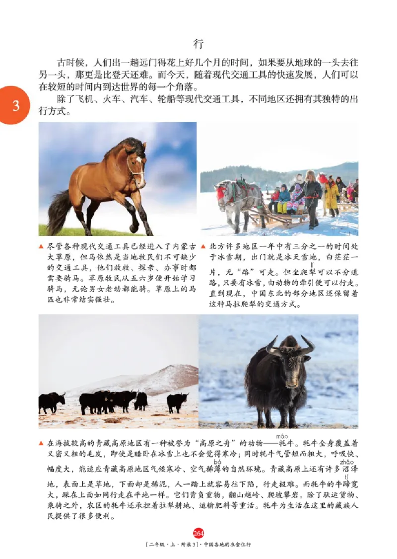 2年级-年级阅读_二年级上下册资料_小学二年级学习资料-25年更新版_2-01、小学二年级语文上册_2-1-2、练习题、作业、试题、试卷_电子册类_《绘本课堂》语文2年级上册（RJ）