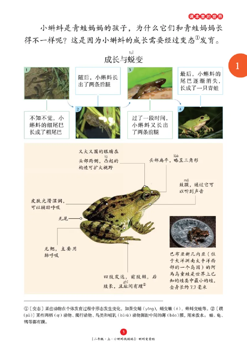 2年级-年级阅读_二年级上下册资料_小学二年级学习资料-25年更新版_2-01、小学二年级语文上册_2-1-2、练习题、作业、试题、试卷_电子册类_《绘本课堂》语文2年级上册（RJ）