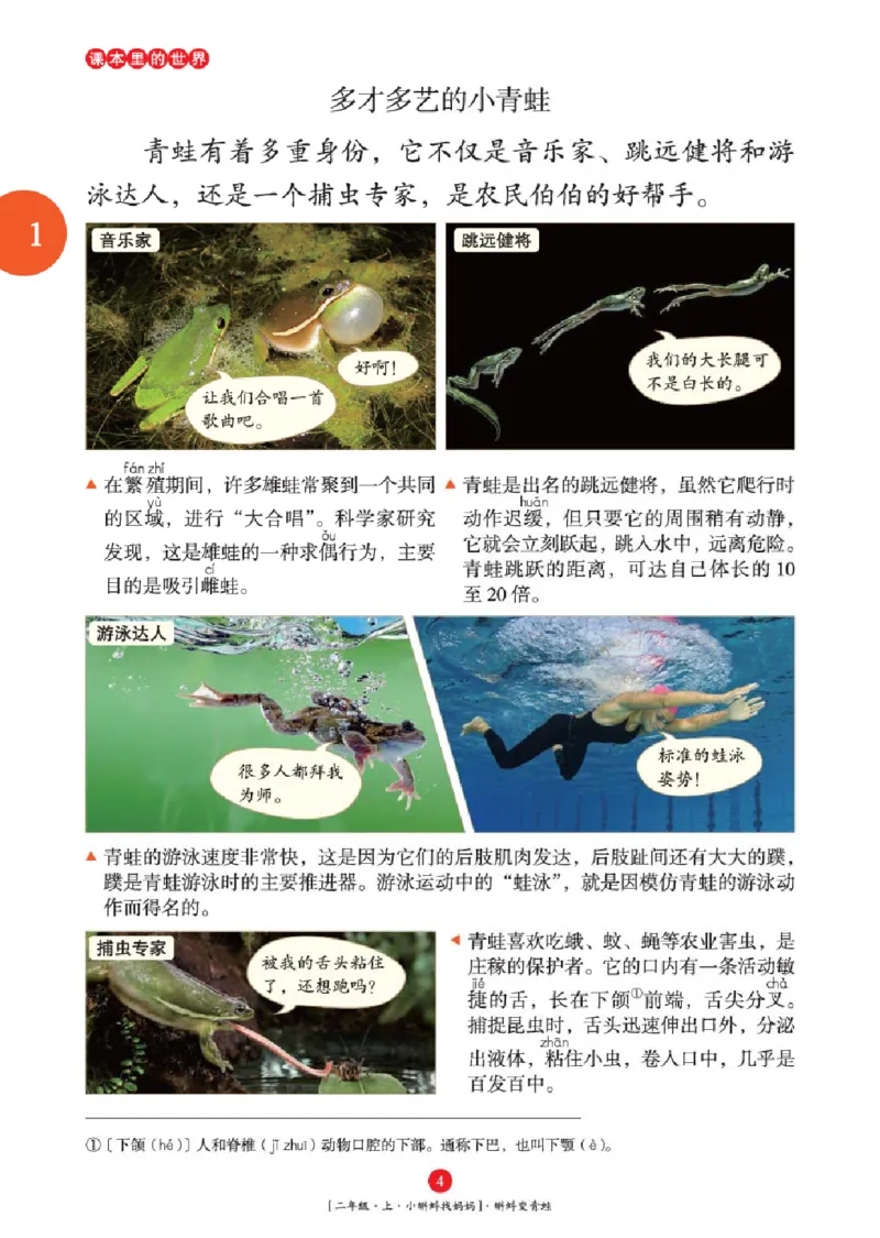 2年级-年级阅读_二年级上下册资料_小学二年级学习资料-25年更新版_2-01、小学二年级语文上册_2-1-2、练习题、作业、试题、试卷_电子册类_《绘本课堂》语文2年级上册（RJ）