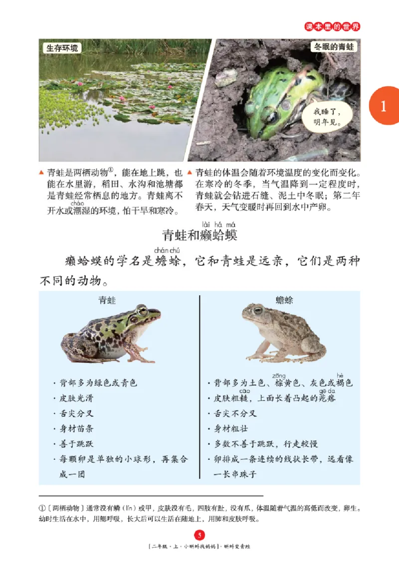 2年级-年级阅读_二年级上下册资料_小学二年级学习资料-25年更新版_2-01、小学二年级语文上册_2-1-2、练习题、作业、试题、试卷_电子册类_《绘本课堂》语文2年级上册（RJ）